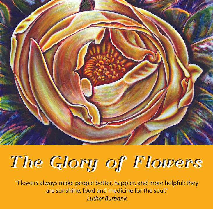 The Glory of Flowers