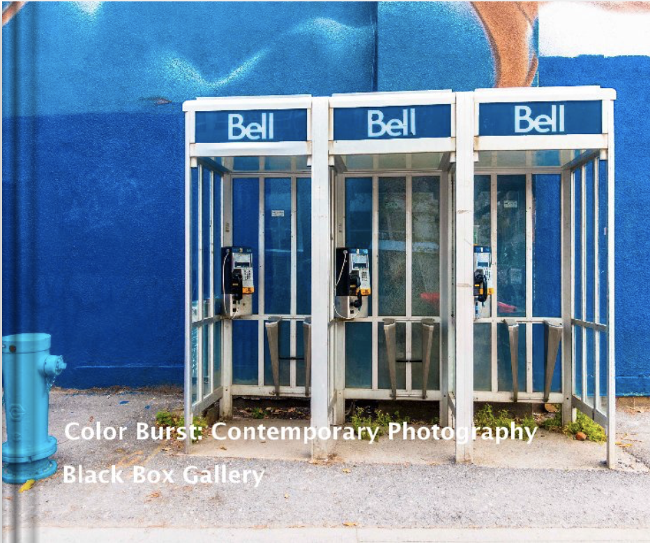 Color Burst: Contemporary Photography